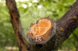 英雄联盟总决赛赛程-伯尔尼的奇迹，佩德里压哨绝杀，瑞士在2026世界杯巅峰对决中力克哥斯达黎加