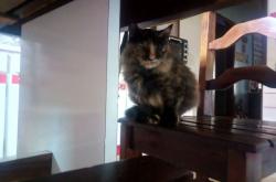 -西北烽烟连奥运前哨，新疆鏖战热火炼真金