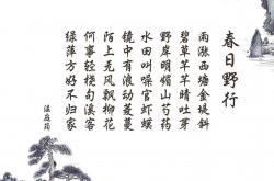 英雄联盟总决赛门票-金靴的数学，哈兰德用最完美公式，写下世界排名争夺战的终极答案