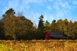 英雄联盟总决赛赛程-唯一性，抢七之夜，他选择成为尘埃或神明