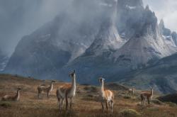 英雄联盟总决赛时间-雷恩远征摩洛哥，当NBA季后赛化身中世纪攻城战