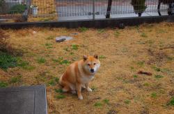 英雄联盟总决赛2025-体育之夜的跨洲共鸣，德国战车碾压特兰加雄狮，帕尔默抢七封神主宰赛场