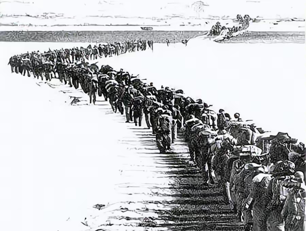 直布罗陀队壮烈抗争，终止征程