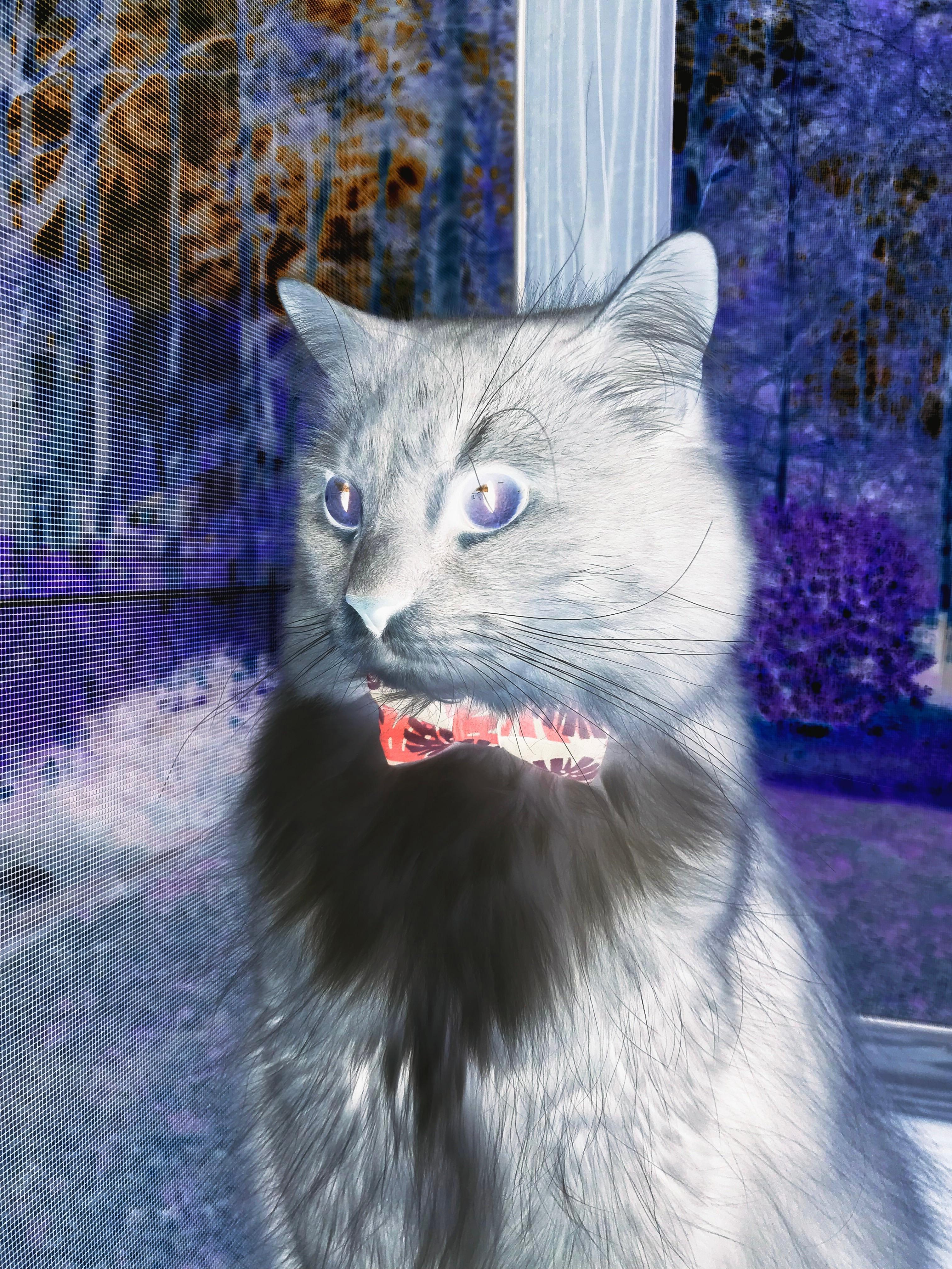 体系的胜利，德国队战术革命如何强行终结拜仁霸权，哈弗茨满分演绎新哲学