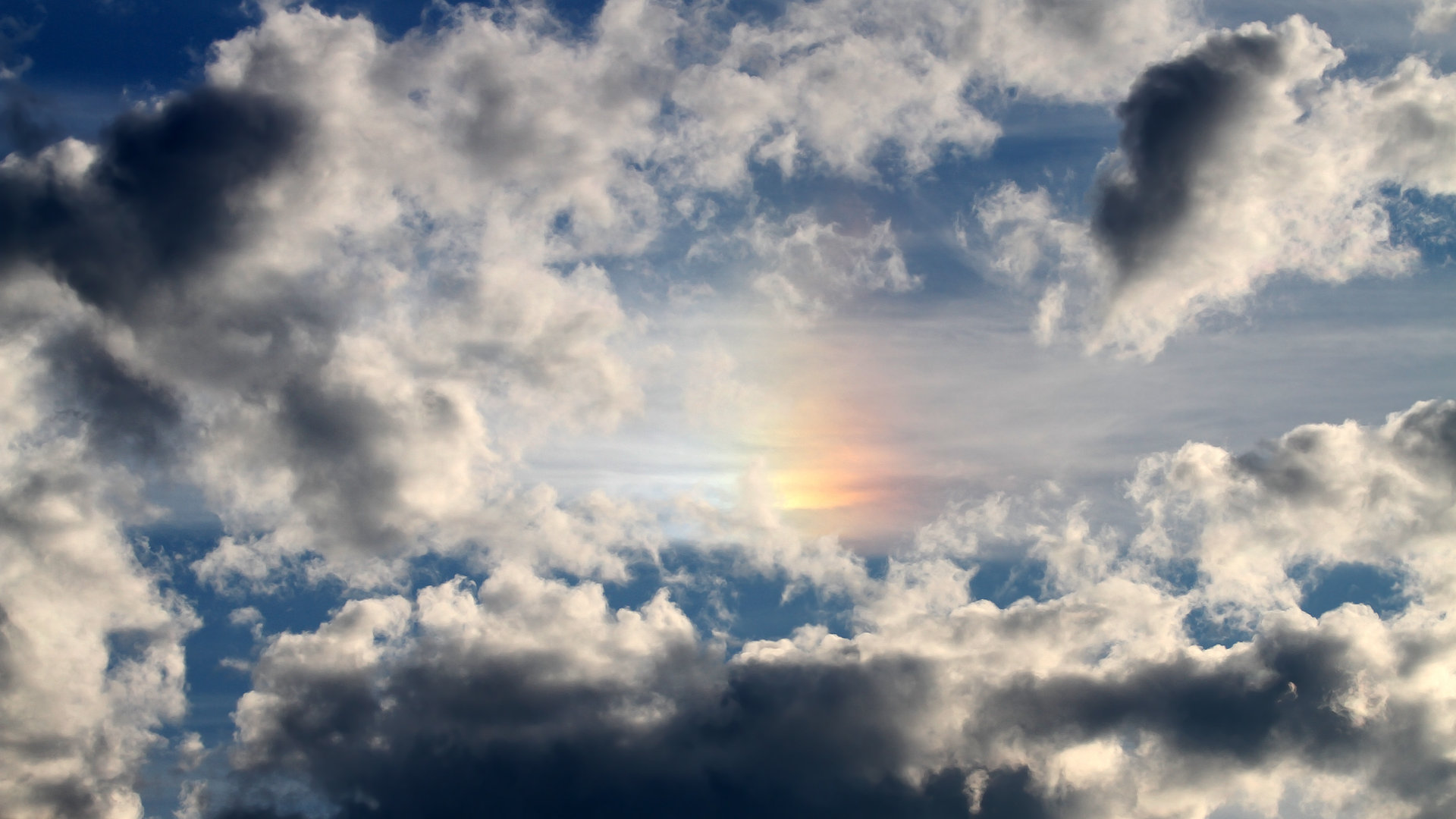 郁金香绽放沙漠,伊萨克三记绝杀撕碎卡塔尔防线