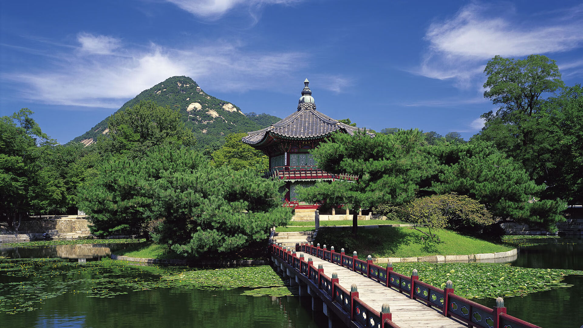 绿茵与赛道的交响,当红黑军团与中场大师演绎统治力