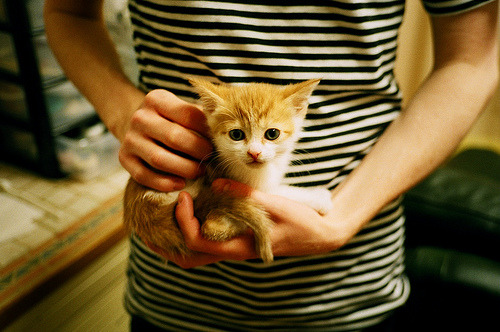 双焦点之夜，意甲战场与篮网山西的血拼