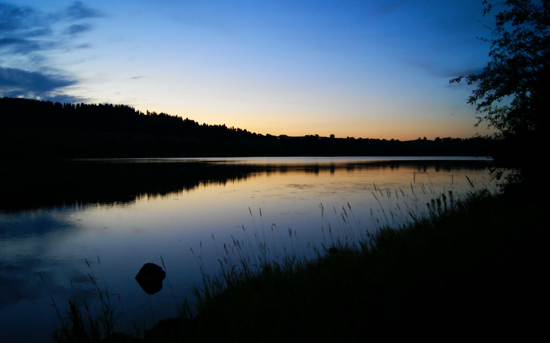 独行侠的致命突袭，英格拉姆利刃出鞘，篮网防线土崩瓦解