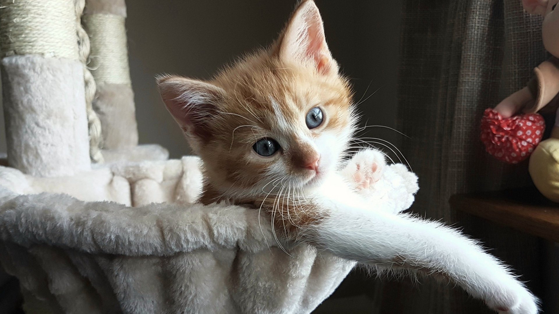 破壁者，当拉什福德的英超节奏撕裂德甲铁幕—解析拜仁节奏掌控失效之夜