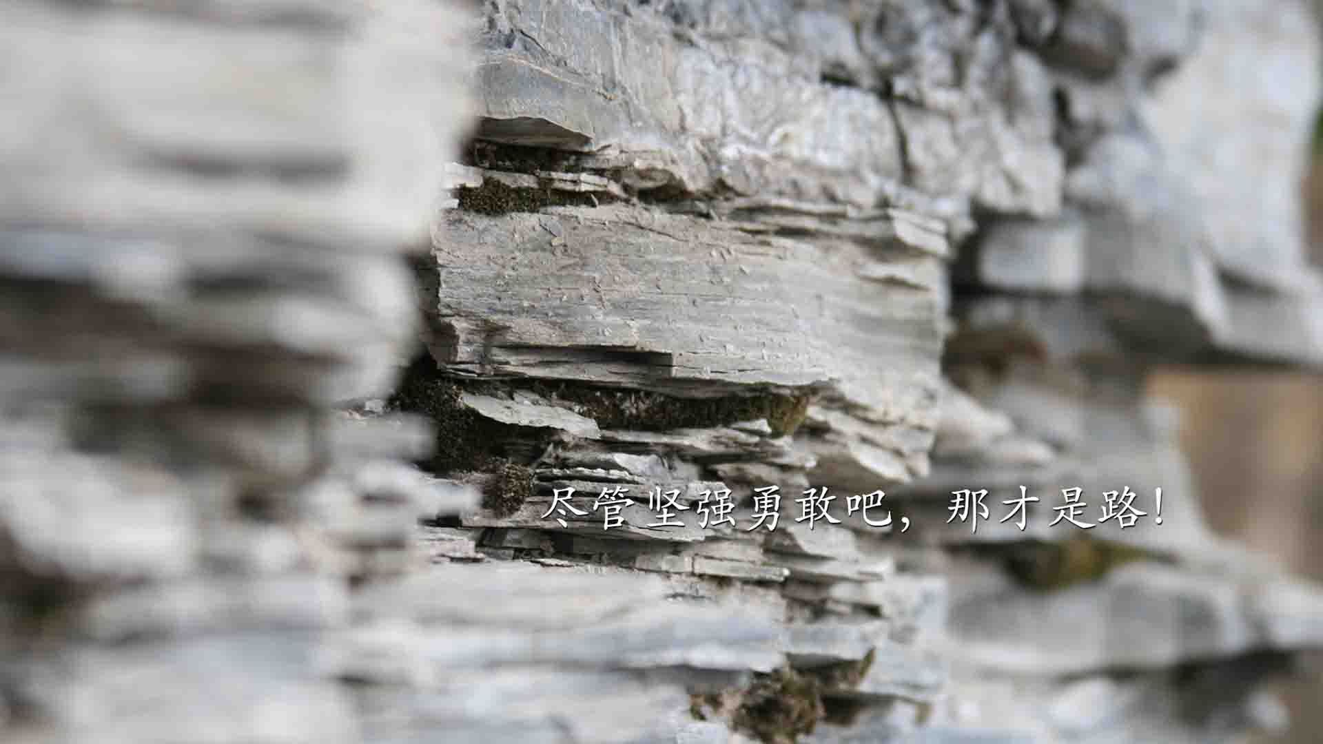 唯一性的逆转，奥利维耶爆发引领威尔士历史性压制新西兰