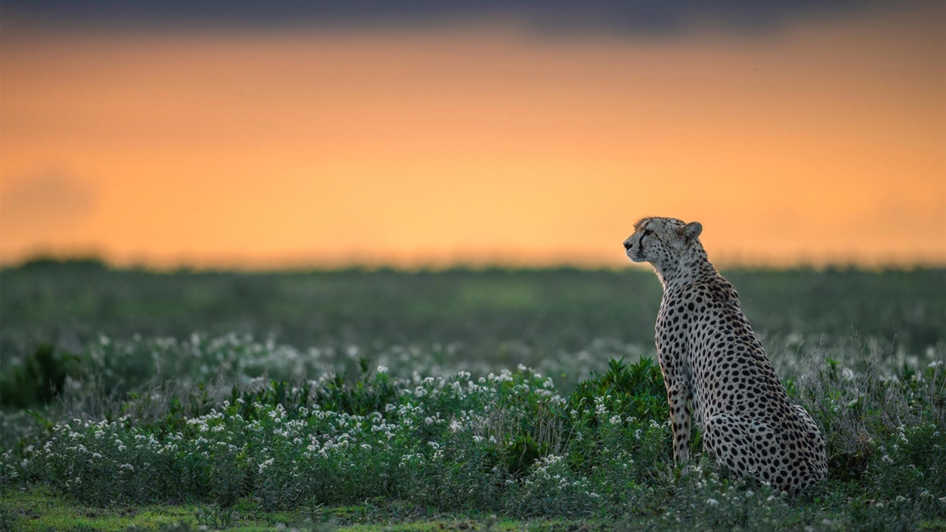 绝境英雄!孔德天外飞仙,挪威上演史诗级压哨逆转