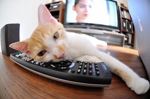 跨越国界的英雄，弗拉霍维奇在日本对阵喀麦隆的决战中挺身而出