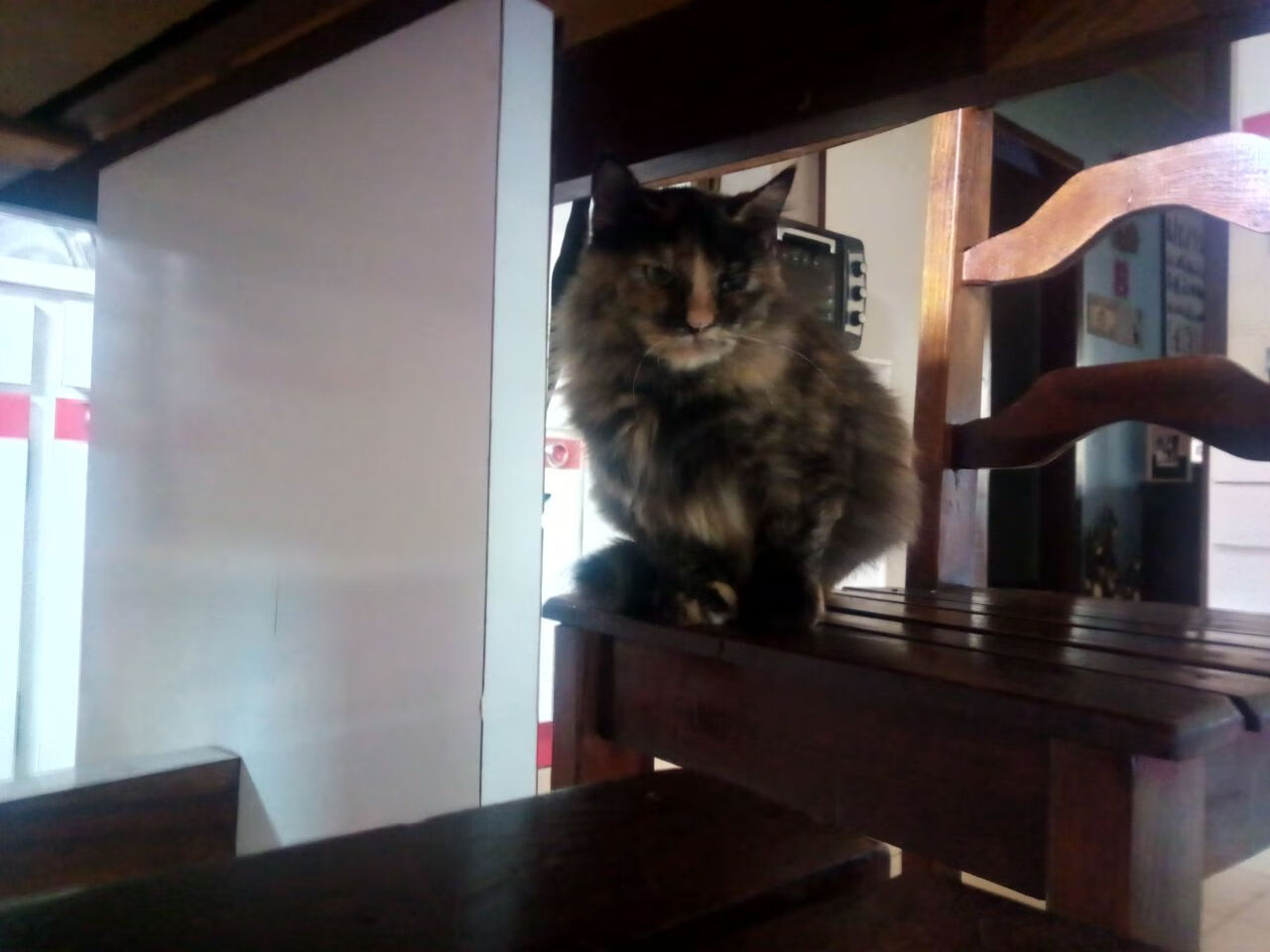 西北烽烟连奥运前哨，新疆鏖战热火炼真金