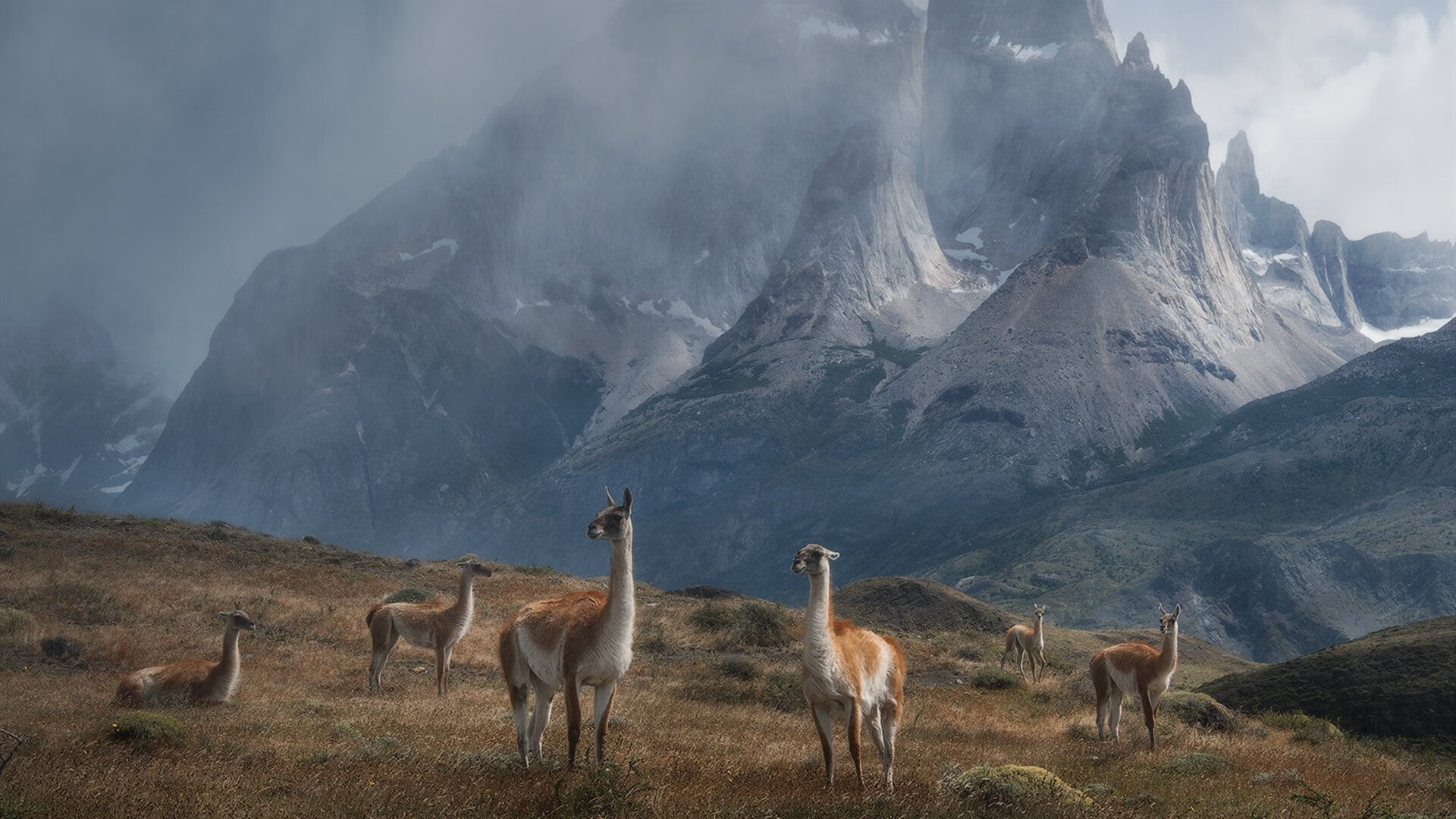 雷恩远征摩洛哥，当NBA季后赛化身中世纪攻城战