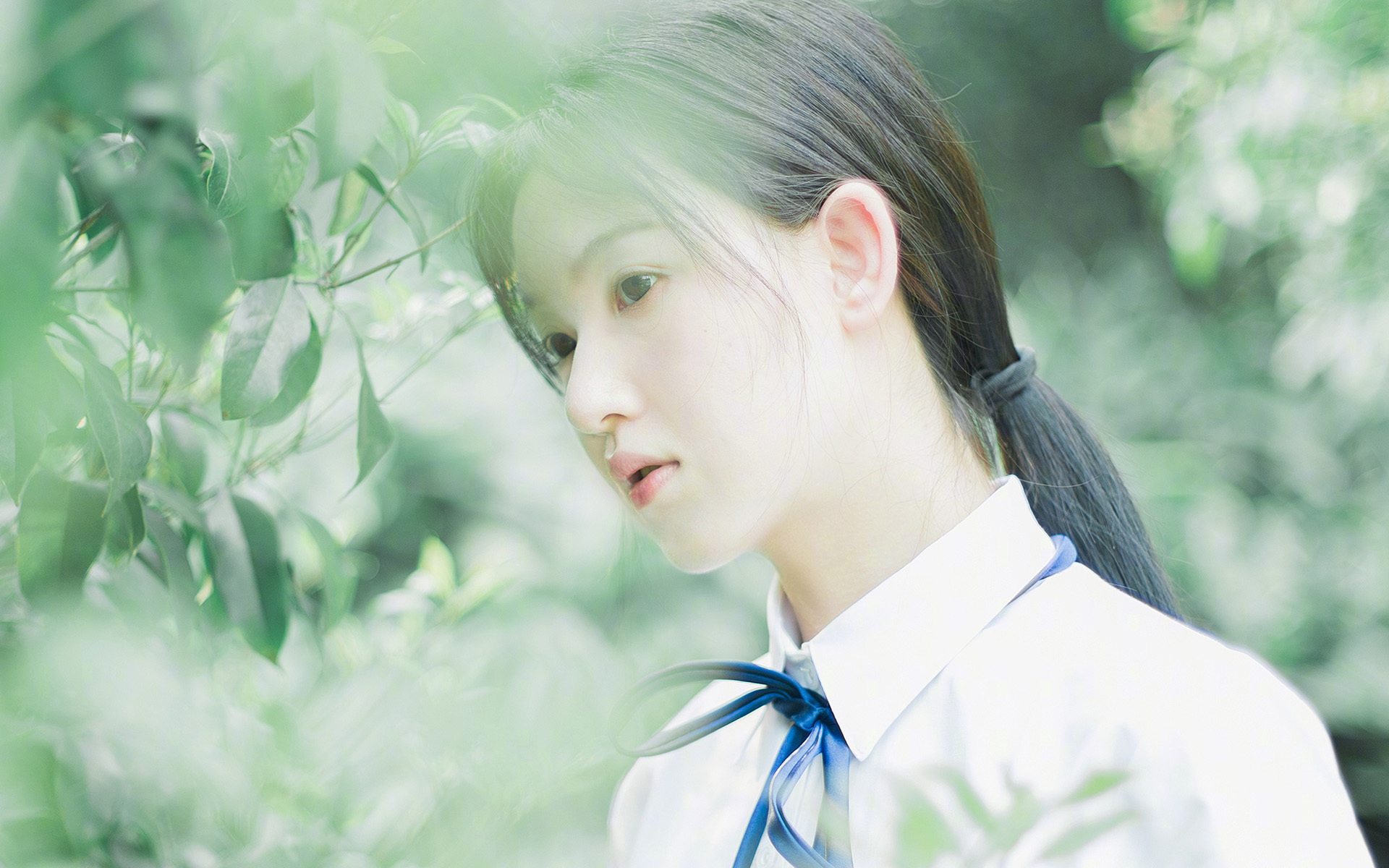 跨界战神,卡塞米罗一锤定音,新西兰联队淘汰赛奇迹掀翻贝蒂斯