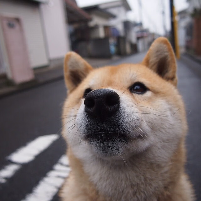 北方童话再续,萨内绝杀莱比锡红牛,芬兰奇迹诞生记