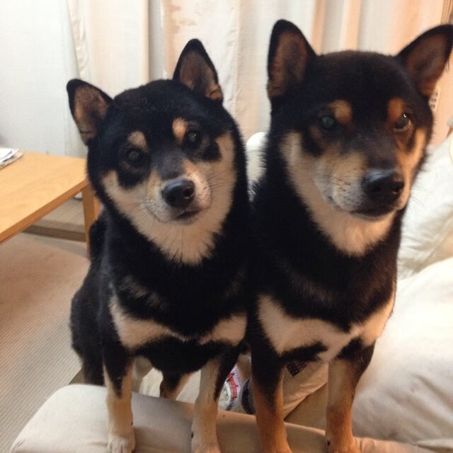 戈麦斯,那个将球场变成磁场的男人