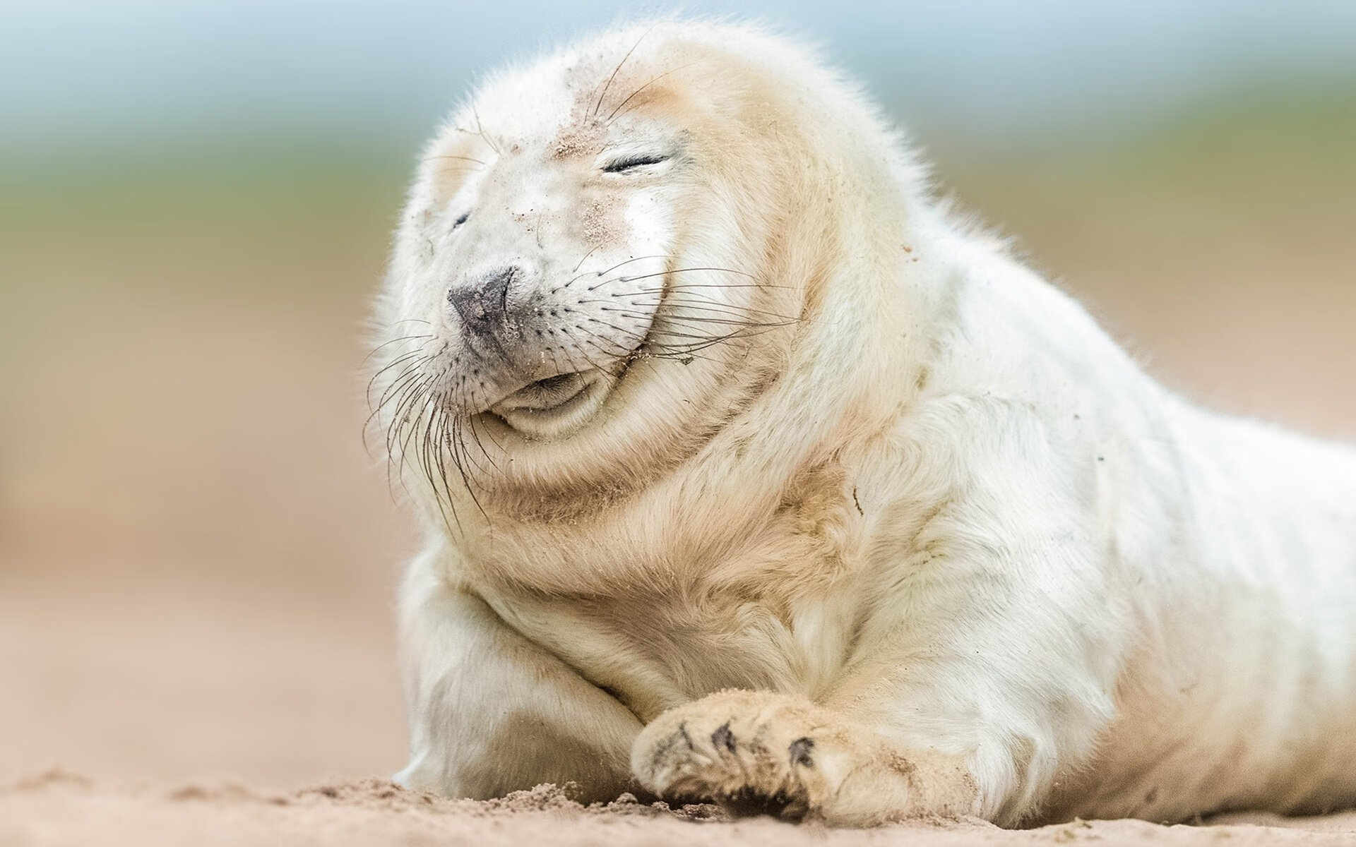 楚阿梅尼关键时刻站出来!比利时打穿加纳绝境逆转