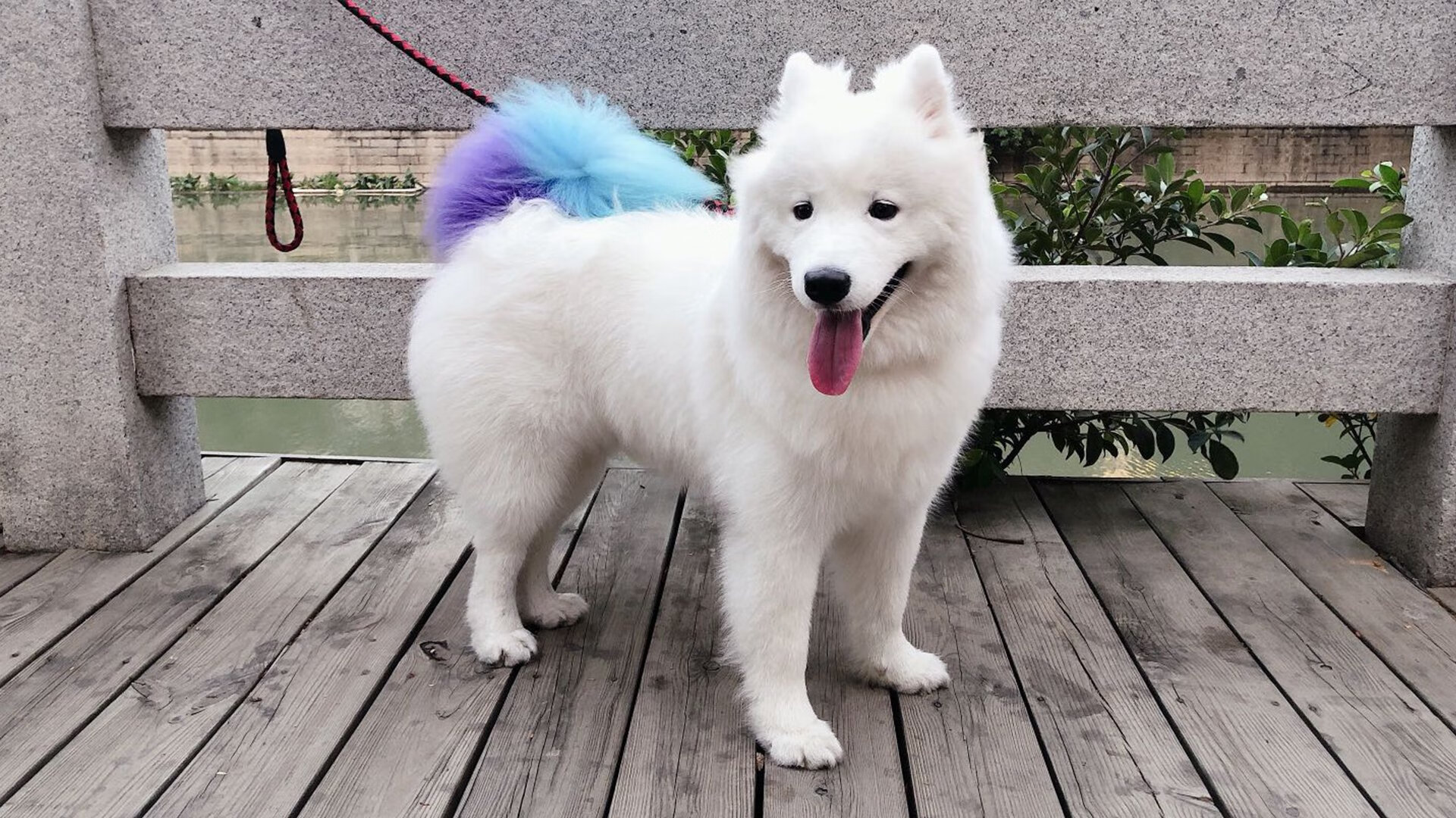 冰与火之歌，杰伦·格林烈焰焚城，步行者寒冰锁链绞杀鹈鹕