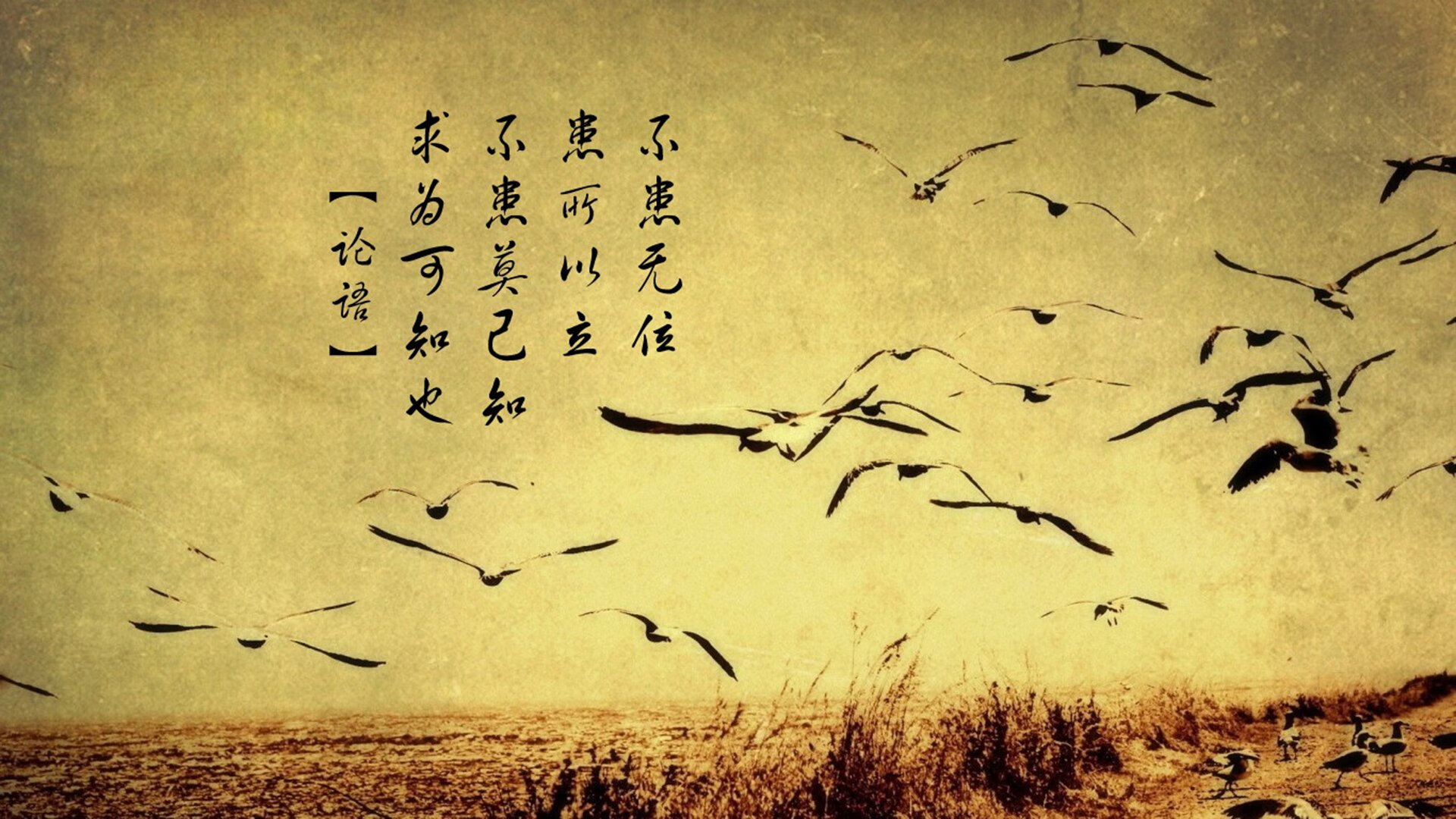 绝杀之夜，当三狮军团的灵魂在萨内指尖燃烧—2026世界杯G组焦点战纪实