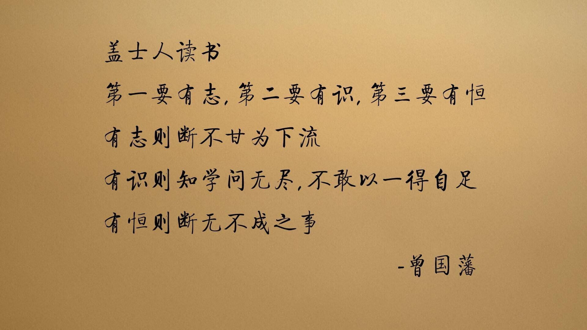 那一夜,萨内的弧线划过沙漠,2026世界杯B组唯一的神谕